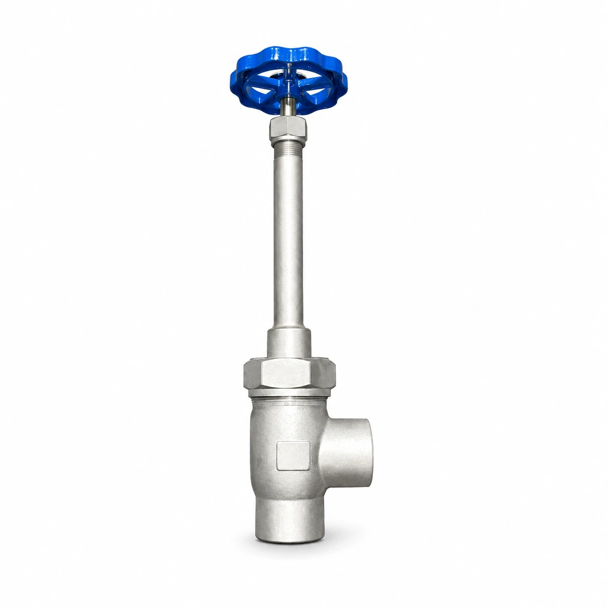 Cryogenic angle globe valve — reference-based product illustration, Socket weld (SW)